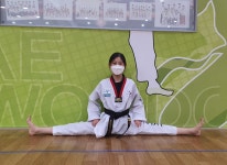 뿌리깊은나무란?-국기태권도장