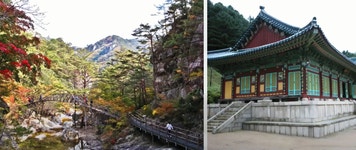 평창 봉평-평창 엘리엇 아파트