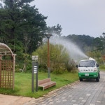 사업내용-(유)녹색산림개발-나무병원