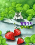갤러리-드림음악학원/Dream