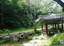 주변정보-이화가든 계룡산 송어장