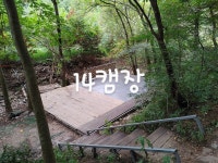예약하기-편백힐 치유의숲 캠핑장