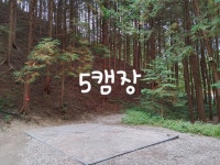 예약하기-편백힐 치유의숲 캠핑장