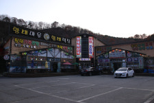 업체사진-황태마을식당