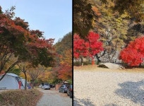 외부전경-강원도 영월 캠핑장 나조스트