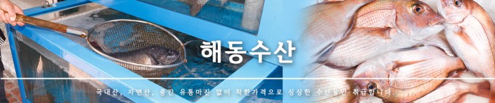 해동수산-해동수산