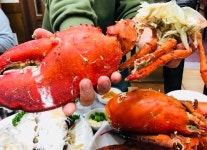 둘러보기-도매상회