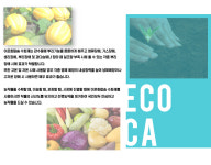 부분별사용개요-에코씨에이