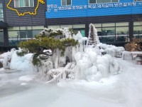 내/외부안내-삼성가든 숯불생고기