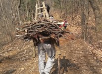 겨울들살이(반일)-질울고래실마을