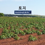 토지-강남김경숙공인중개사