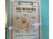 동물의약품-배방탕정 아산동물약국