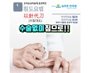 침도요법-대전늘푸른한의원