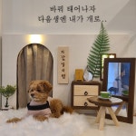 내부시설-안산 수제간식 전문 도긴디긴