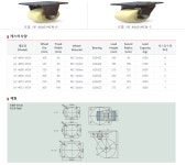 HF46-유창캐스터