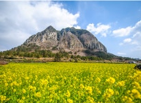 제주도 산방산-그냥 여행 가고 싶어서