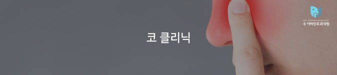 코 클리닉-수 이비인후과의원