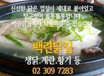 닭.계란-백련시장