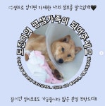 도진-인천 서구 개농장 아이들