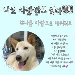 석이-인천 서구 개농장 아이들