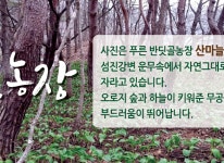 겔러리-푸른반딧골농장