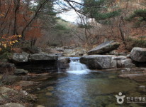 용추계곡-숲속의하모니