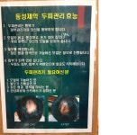 두피케어-옻안타는천연염색 동대전점