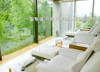 테마파크 체험안내-Healing Camp