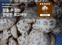 농장소개-바이오힐
