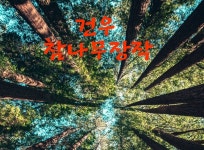 상품안내-건우참나무장작