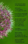 좋은 글(힘이되는 글들2)-어느날 오후 민물 수제찌