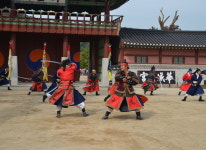 행복한나드리여행사-세종 행복한나드리 여행사