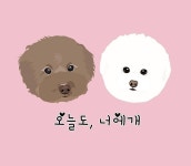 오늘도너에개 -오늘도 너에개