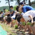 체험 자세히 보기-밀머리체험마을