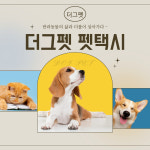 더그펫-더그펫 펫택시