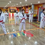 3.태권도체대입시.성인태권도-SDTA온라인태권도