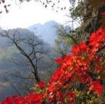 주변정보-동두천  산속에 캠핑장
