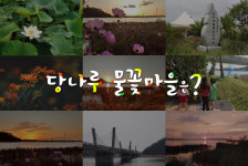 당나루물꽃마을-당나루물꽃마을