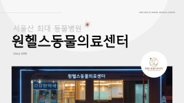 원헬스 소개-원헬스동물의료센터