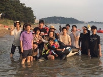 주은혜교회 소개-주은혜교회(관양)
