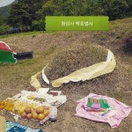 굿동영상-(사)대한불교신조계종 청섬사