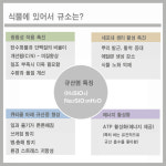 친환경 식물 성장제-조이바이오(주) 농업회사법인