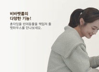 제품 정보-비바펫