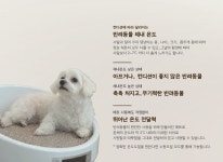 제품 정보-비바펫