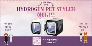 취급점-케이펫츠