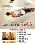 바이오포톤-에스테틱 힐링수
