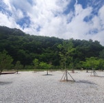 외부전경-정선 파인트리캠핑장