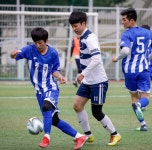 갤러리-서울 평화 축구 리그