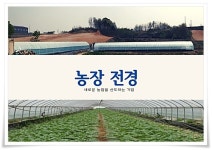농장 전경-농업회사법인 뉴파밍(주)