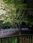시설안내-휘명빌리지 ㅡ 반려동물동반